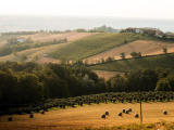 Langa Cebana: il Piemonte inedito e autentico