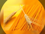 Agroalimentare: la creazione di valore per il Made in Italy al centro dell'impegno per la tracciabilità delle filiere