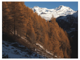 Monterosa Ski: le dorate valli del Rosa