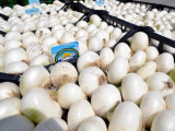 Cipolla Bianca di Margherita Igp: da domani al 9 febbraio a Fruit Logistica